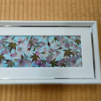 資格もとれる 押し花｜仙川カルチャーセンター｜ステイヒルズ