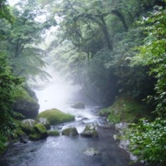 菊池渓谷&芦北町立星野富弘美術館