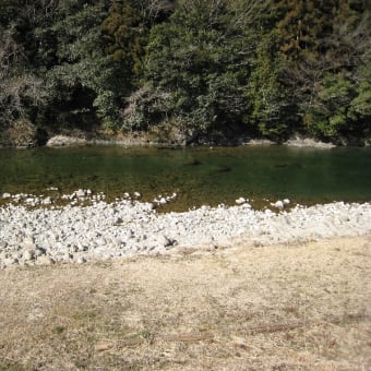 寒狭川中部渓流解禁の下見に行ってきました。