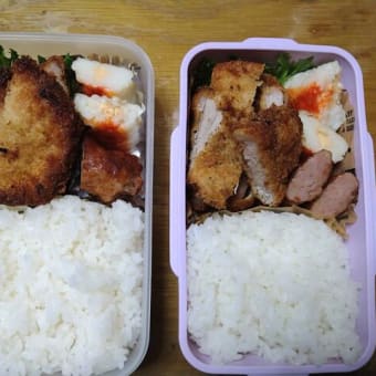 我が家のお弁当🍱(∩´∀｀)∩ﾜｰｲ　2024/08/15とその前