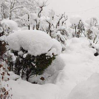 ２０２１年は大雪で幕を閉じます