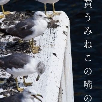 海猫の廃止されし遊覧船