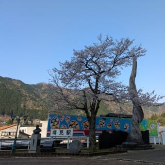 根尾谷の奥へ花を愛でに