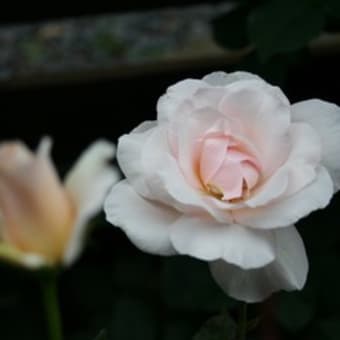 二番花