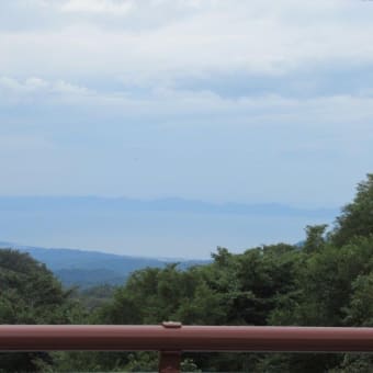 夏の終わりの大山で沢山の夏の花に会えました。　2018年9月12日　その4