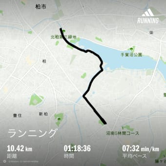 2週間ぶりだ