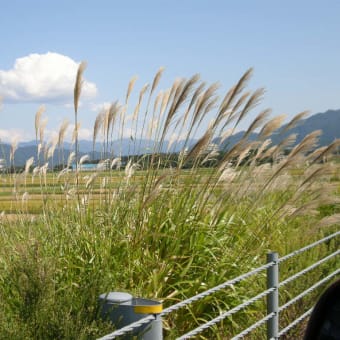 初秋の東北路風景