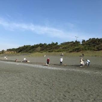 早朝の湘南海岸｜本店限定タイムセール開催中！