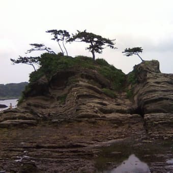 荒崎→三崎→城ヶ島→油壷→七里ヶ浜→江ノ島