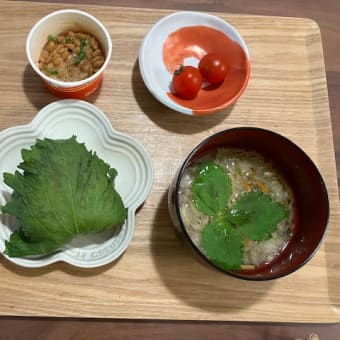 心配なこと＆シソおにぎﾘﾘ