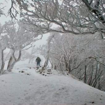 樹氷の高見山（2）