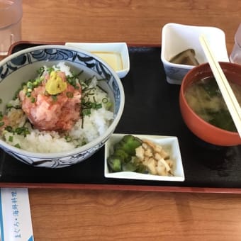 【 三浦半島1周 】　ライド2　126km