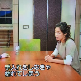 #2020、#070704Web日めくりカレンダー