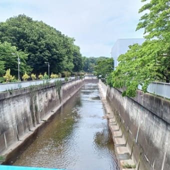 お薦め散歩：石神井川と銀座