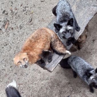 只今