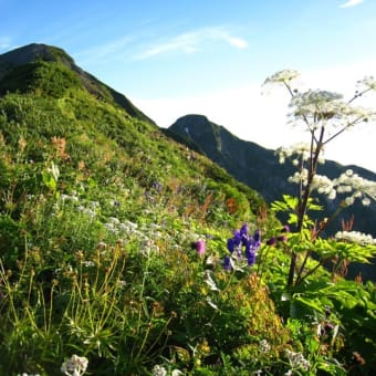 8月の山、鹿島槍ヶ岳~五竜岳