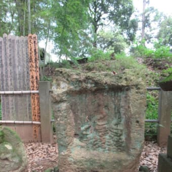 続・続・大きな塚のような山を背にした赤城山龍昌院