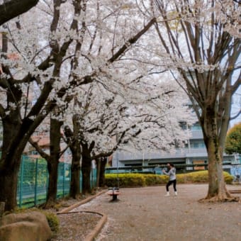 今日いち-2025年4月1日