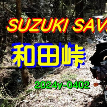 SUZUKI SAVAGE 和田峠 春 ツーリング 2024y 0402