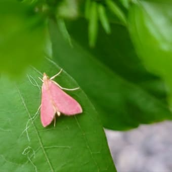 紙をめくる感じ