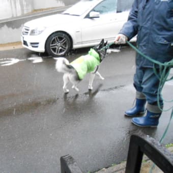 ４月なのに雪(゜.゜)