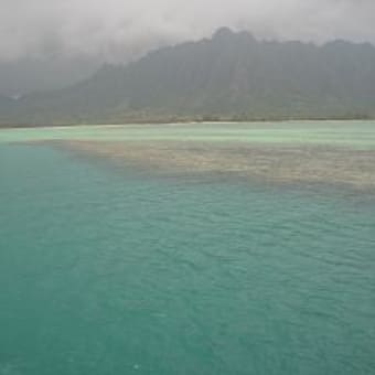 hawaii no.4