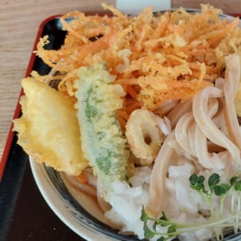 冷やしたぬきうどん　本手打うどん庄司