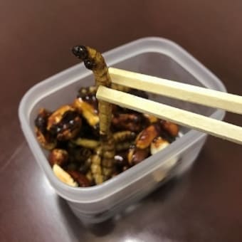 糖質制限の未来は・・・昆虫食！？