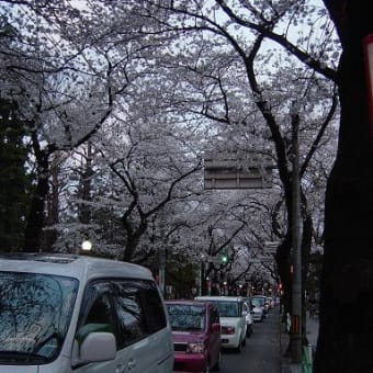 まるで雪景色