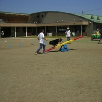 交流会