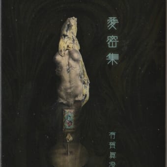 有賀眞澄・句集『愛密集』虹蜺舎