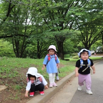 代々木公園・深町小公園に行ってきました。