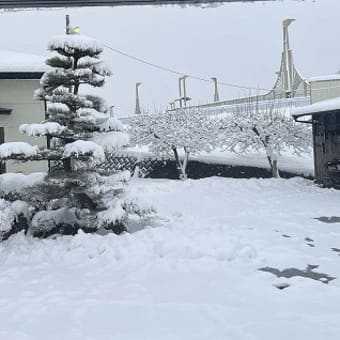 今年2回目の大雪！