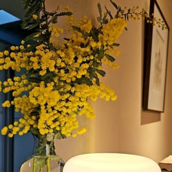 最近よく作って食べてる“卯の花の炒り煮”