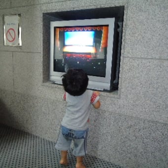 バレエ鑑賞