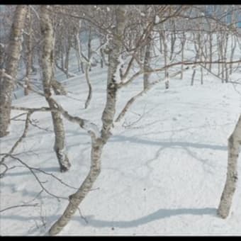 札幌50峰最難関？　おまけにラッセル　『狭薄山』