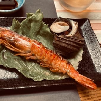 九州旅館編　　別府　彩乃宿浮羽
