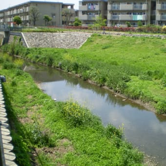 石神井川