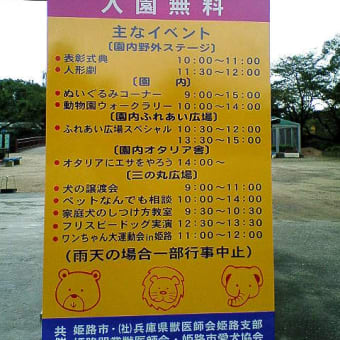 9月の掃除