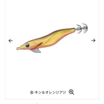 2024 エギング調査　番外編…