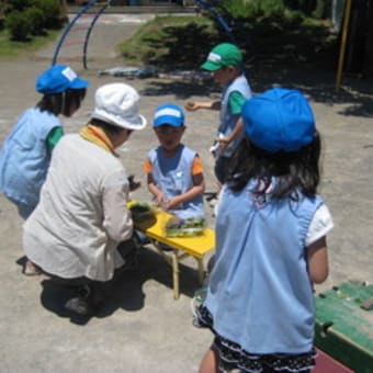 幼稚園でお買いもの遊び。