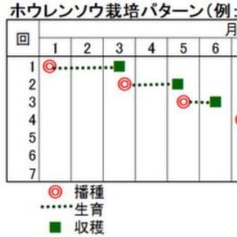 42．ほうれんそう　　地理総合