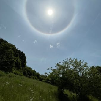 新潟県立植物園の『ハーブ園』は花盛り～