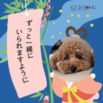 外来日が来た〜っ！