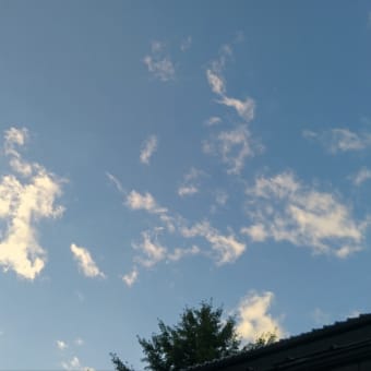 20798日目の空