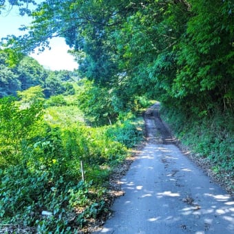 人生には色んな道があって、いつでも「別の道」がどこかにあるんだな