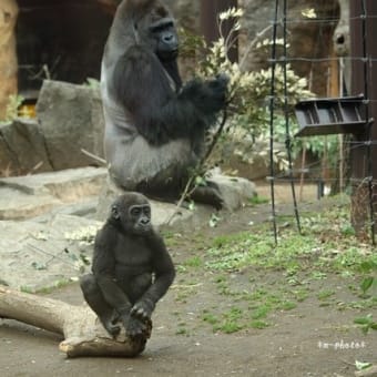 上野動物園