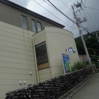 伊豆諸島８島制覇の旅《後編》　八丈島・御蔵島・三宅島・伊豆大島４島めぐり　１０回目　御蔵島