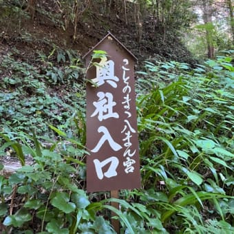 遠州一宮　事任八幡宮行ってきた