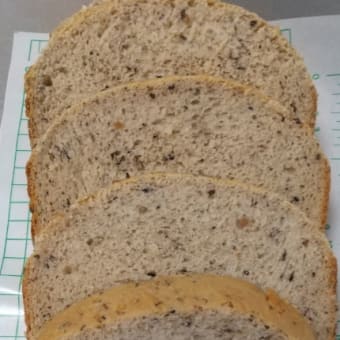 禁断の領域